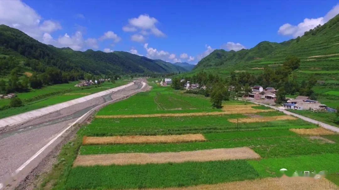 岷县秦许乡:夯实产业根基 筑牢增收渠道