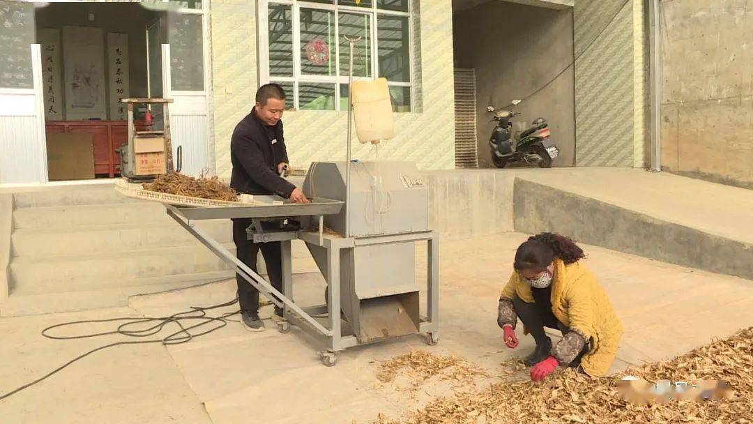 岷县秦许乡:夯实产业根基 筑牢增收渠道