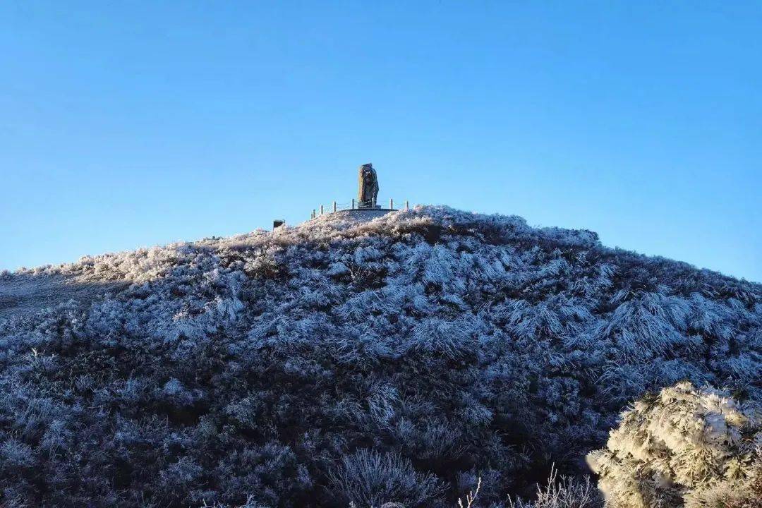 【雾凇奇缘】八卦脑景区门票优惠大放送_雪景_银条儿_夏常青