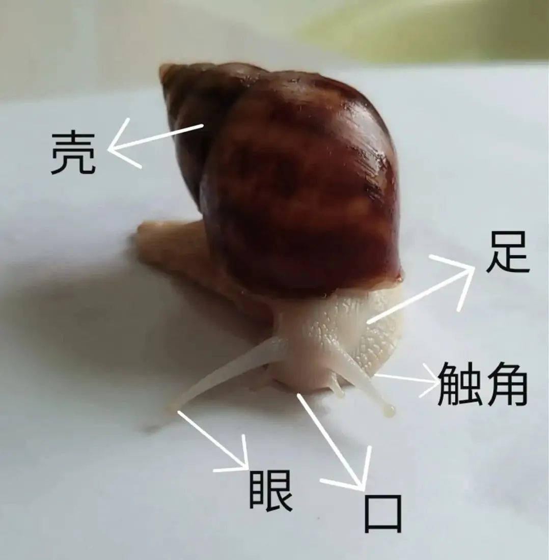新华小学教育集团下村校区
