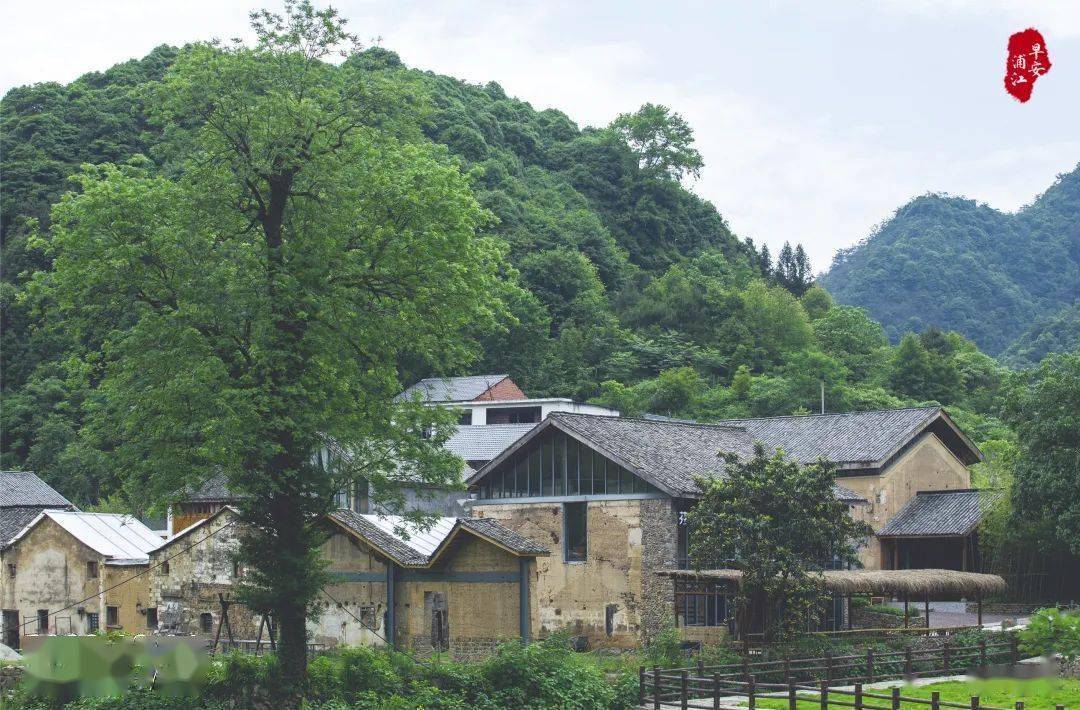 村尚村宿·隐逸村位于虞宅乡茜溪悠谷景区境内,通过整村租赁闲置老屋