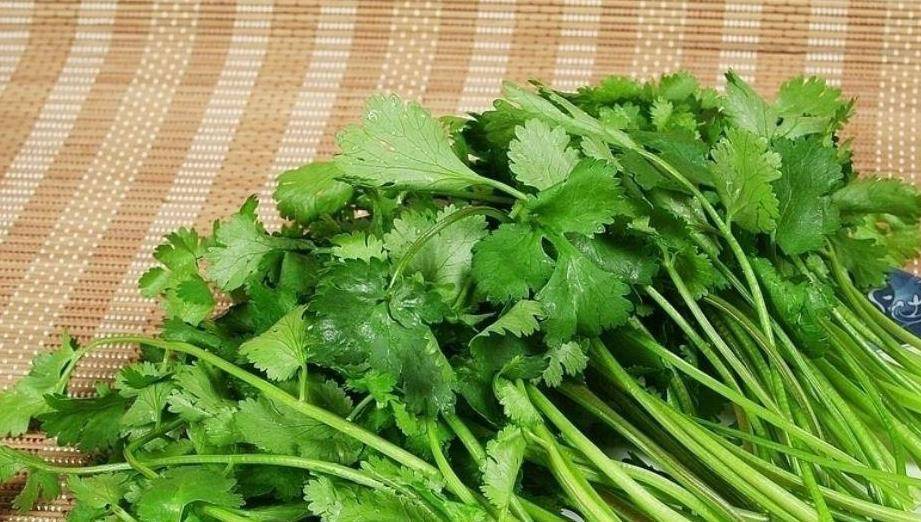 香菜虽然好,有5种人却不能吃,与一些食物也是相克的._食用_丹皮_补药