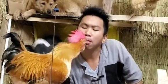 什么軟件可以視頻加照片_什么軟件可以破解加密的wifi_可以加表情的軟件