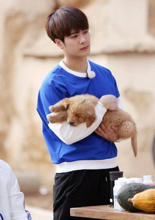 刘宪华在《向往的生活》里出演的就是一个五谷不分只会撩妹的傻小子