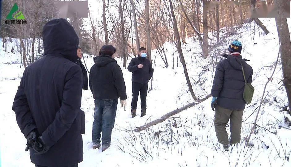 12月4日,亚布力林业局有限公司副总经理李宜华深入锦山,跃进林场森林