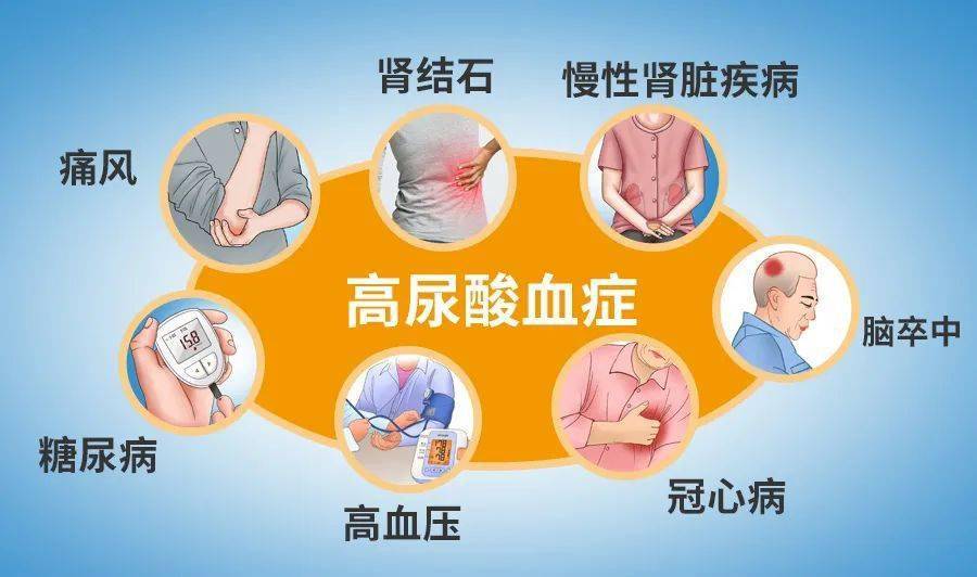 科研| 荣格积极参与"蚕蛹降尿酸肽的功效研究及产品开发"项目!