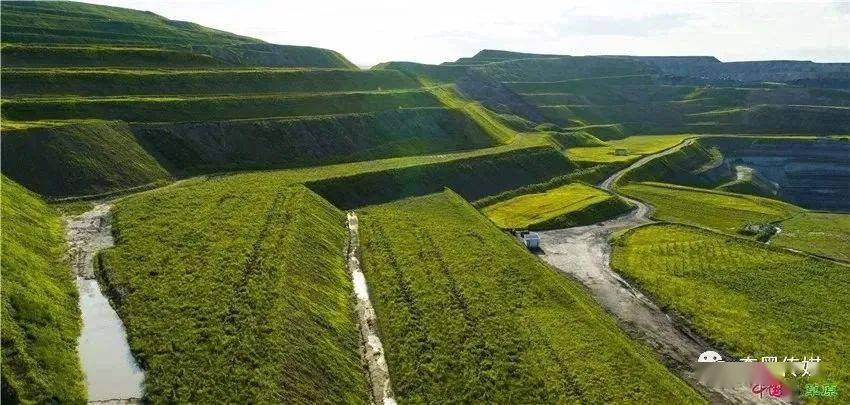 扎哈淖尔煤业公司2.3万亩排土场变草原新牧场_用地_采矿_复垦