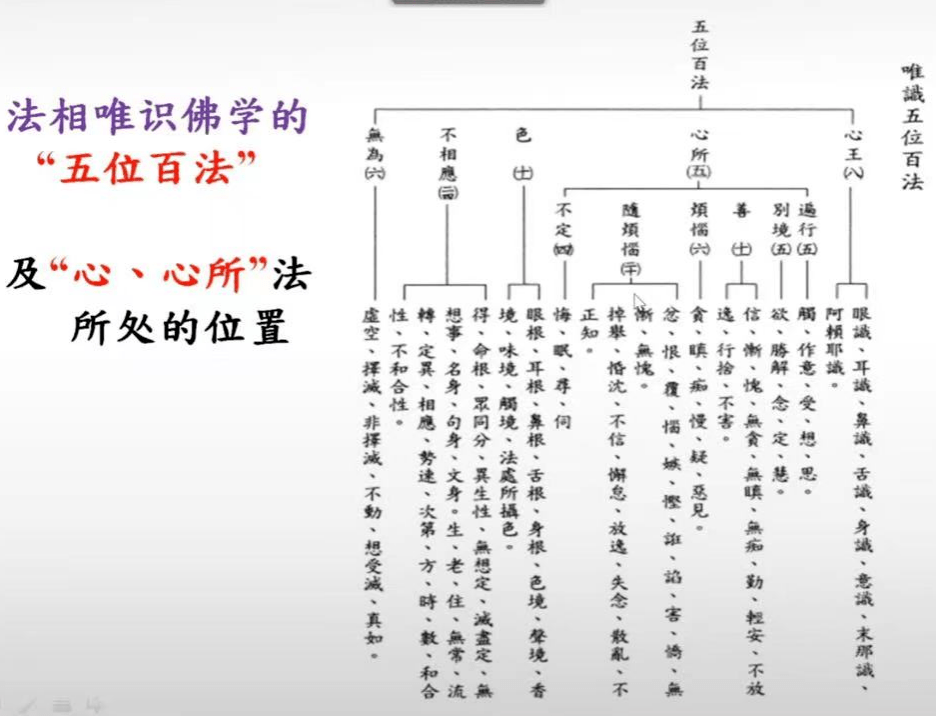 讲座回顾|法相唯识学的"转依"及其"心,心所"认识论的"四分"说_相缚_赵