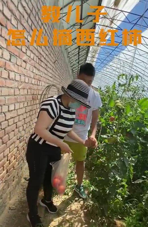 原创
邓亚萍教14岁儿子如何摘西红柿，却遭网友嘲讽：这也需要教？插图8