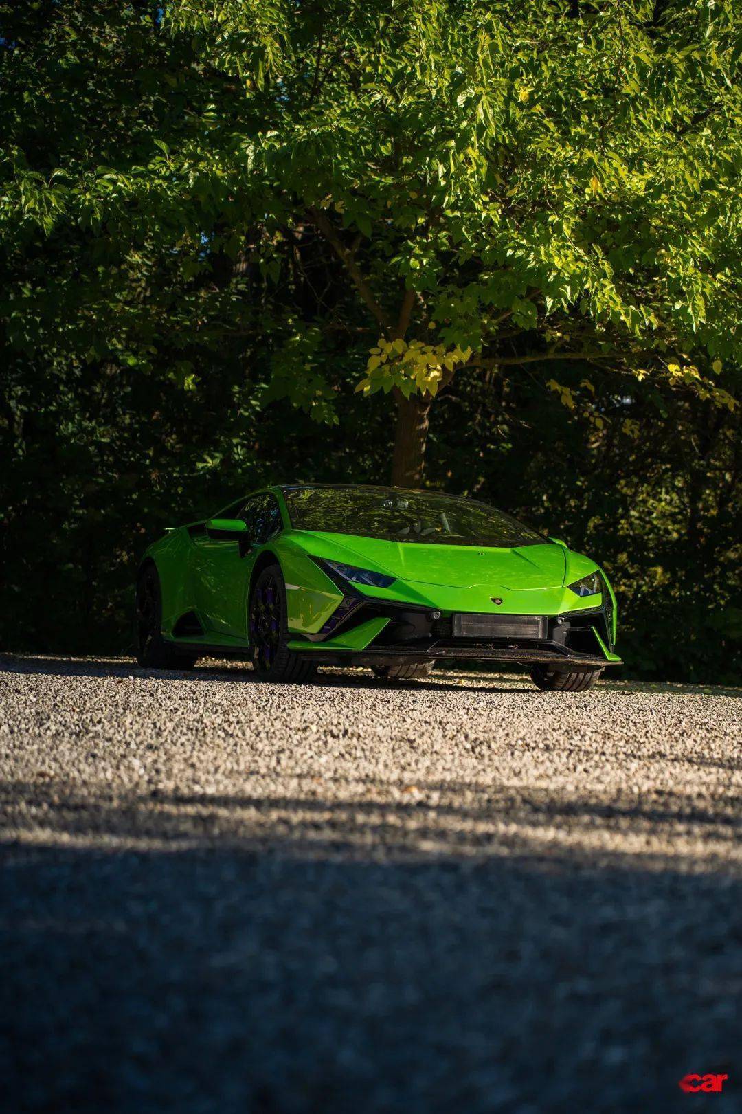 兰博基尼保护环境这件事从蜜蜂说起 | car future_搜狐汽车_搜狐网