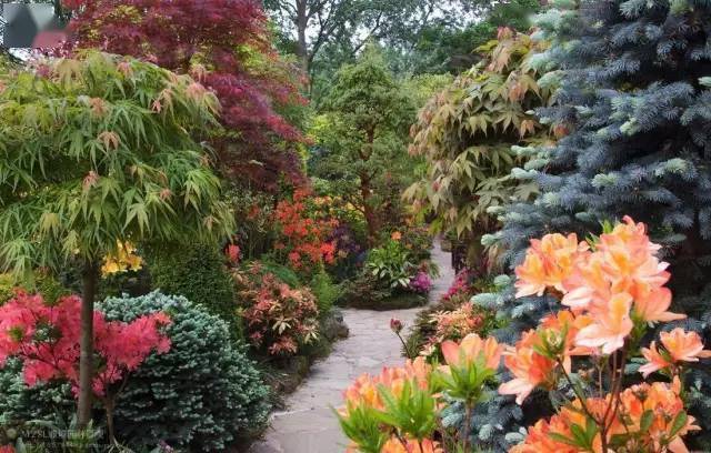 英国著名"四季花园"的绝美风景_时间_一生_garden