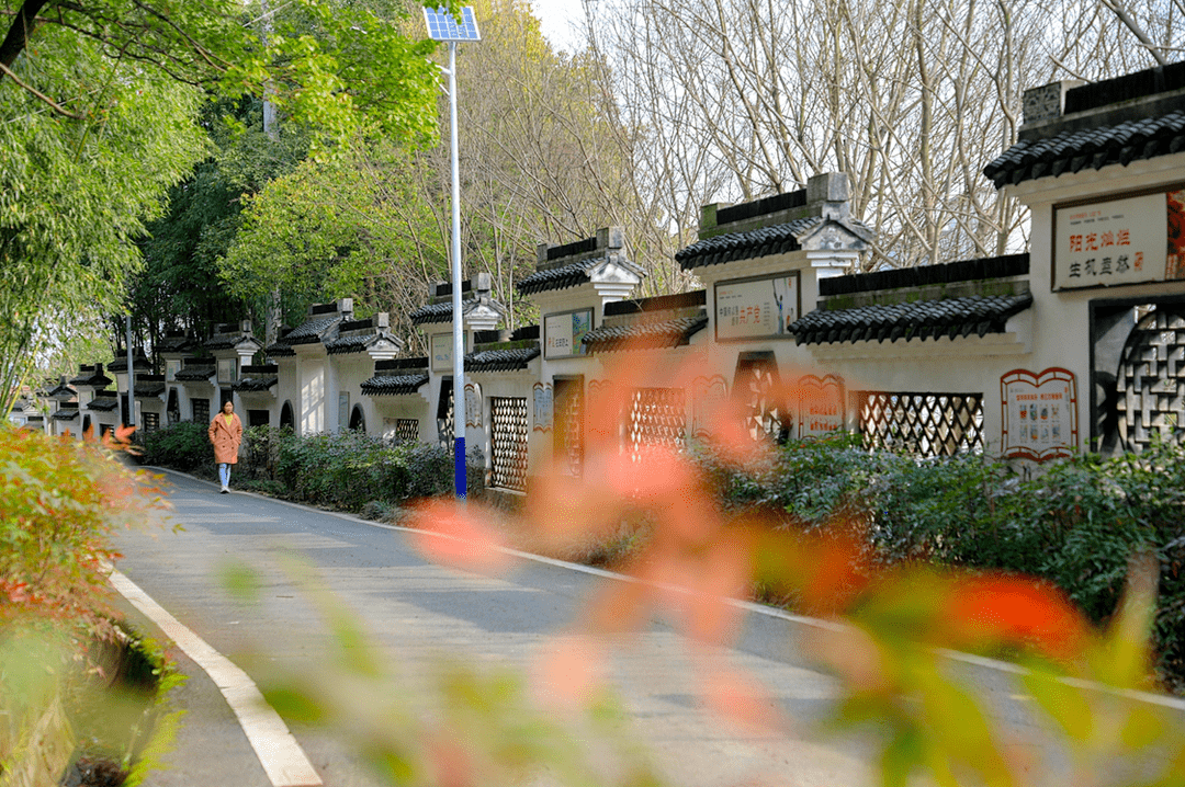 宜兴市白塔村旅游图片