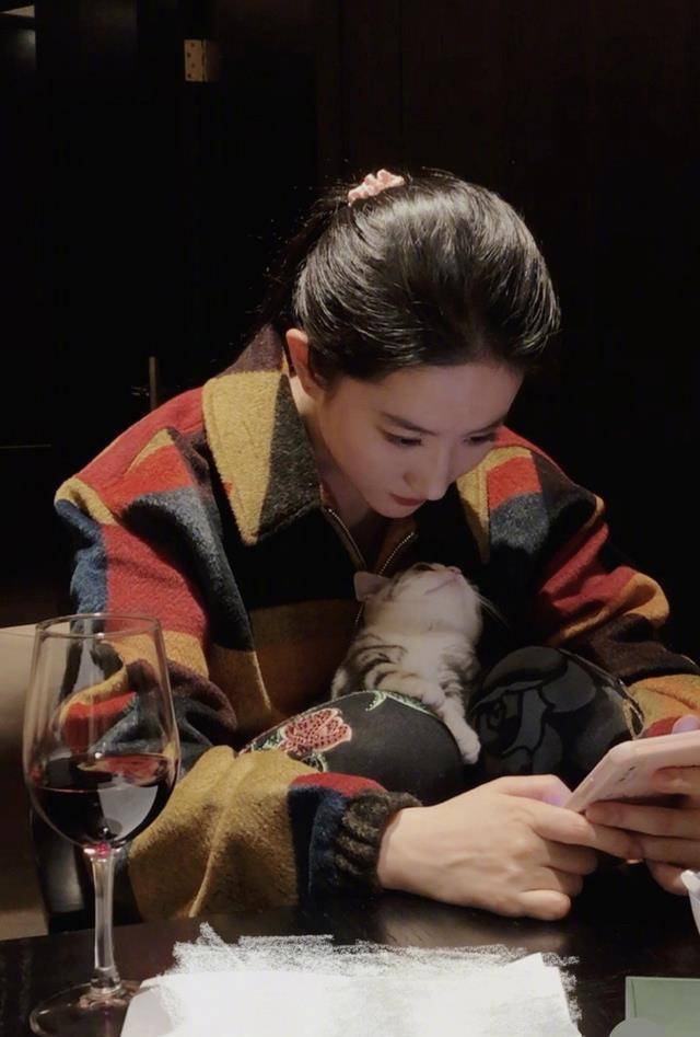 刘亦菲凌晨3点结束工作,晒男友视角纯洁照,听歌撸猫喝酒有情调_照片