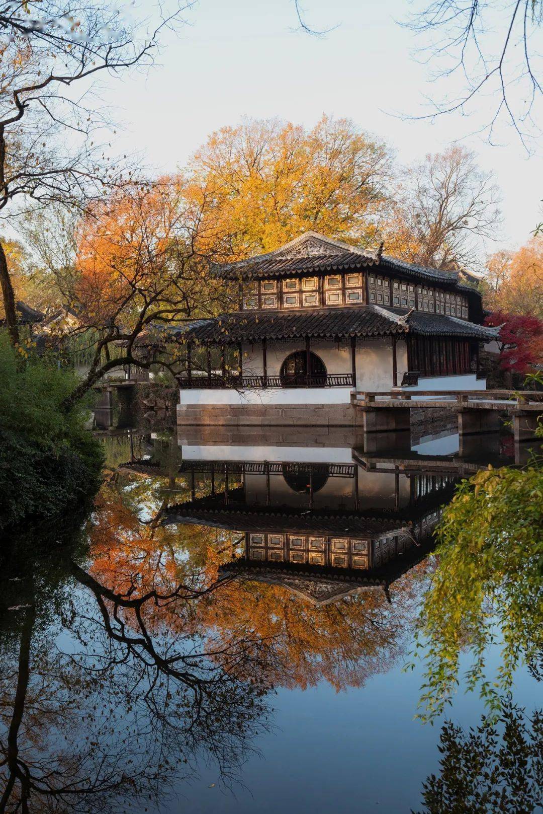 苏州_留园_鸡头米