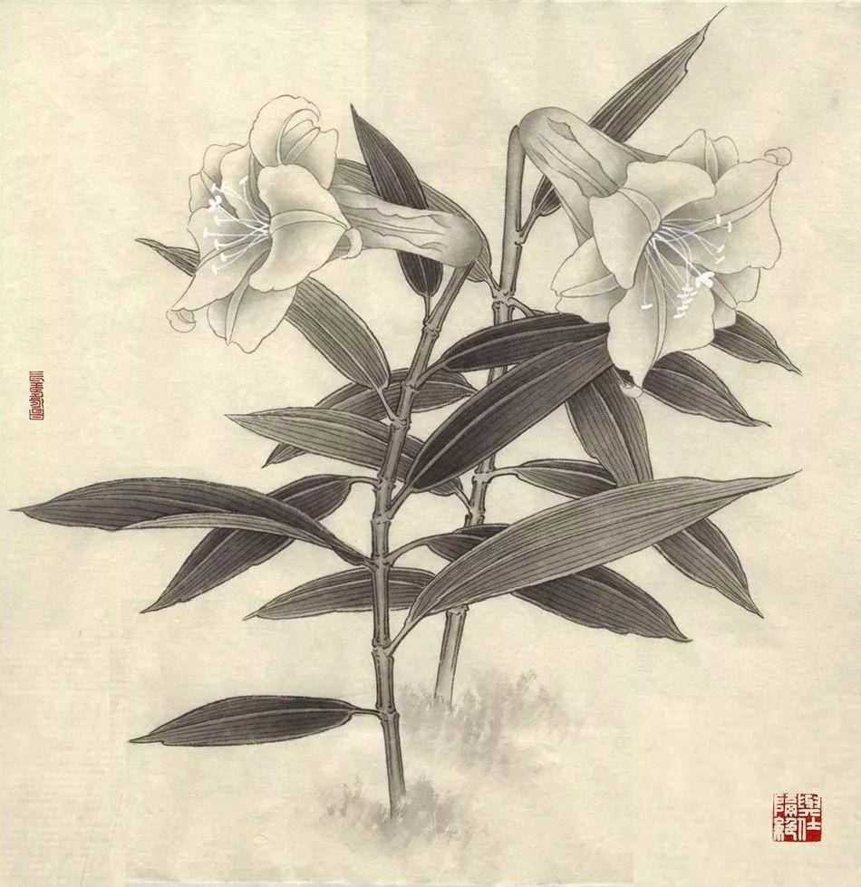 李曉明老師的工筆花鳥畫,真是恰到妙處_水仙_水墨_葡萄