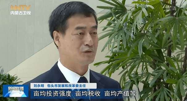 刘永明 包头市发展和改革委主任今年实施的产业类项目中,我们战略性