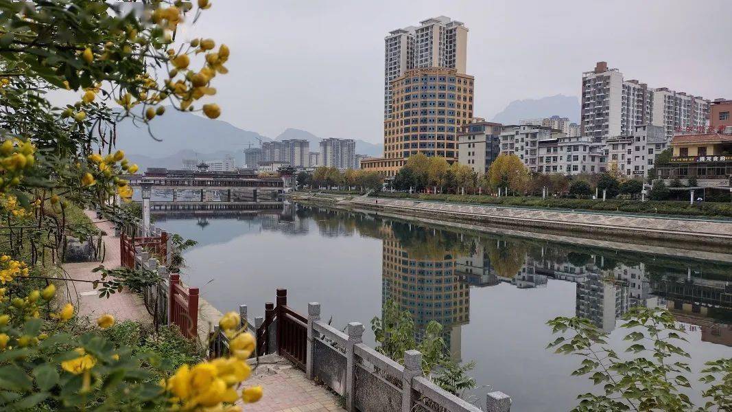 长寿之乡贵州印江:河畔生态好,野鸭成群闹冬来_保护_河流_自治县