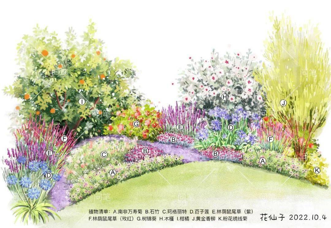 蘆葦&問筆 | 元旦花境設計ipad手繪研學班(深圳站)_花園_案例_植物