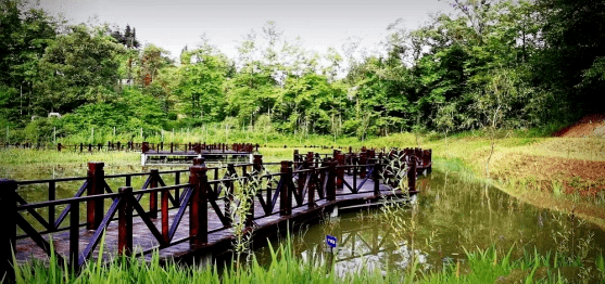 臨滄五老山森林公園景區,臨翔區秘境谷森林小鎮景區,臨滄市花果山城市