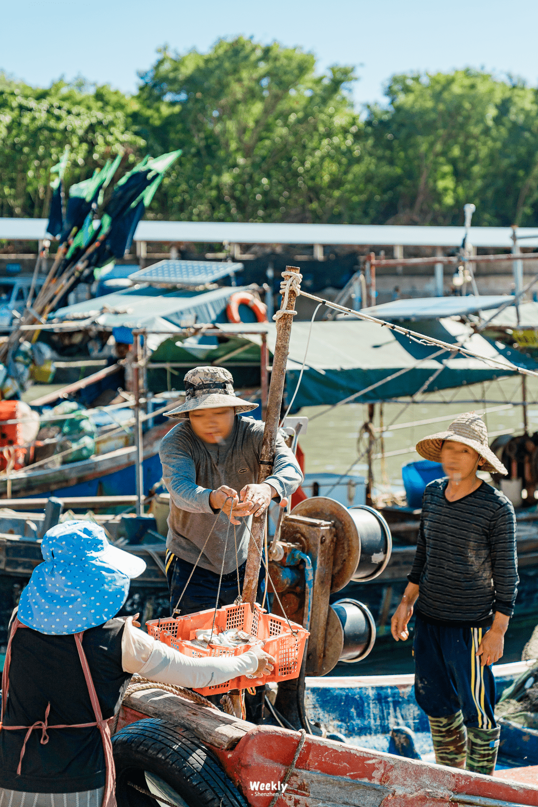 99鲘门特色小吃"来吃汕尾特色双头尖"在渔港亲历一场"抢鱼大战"后