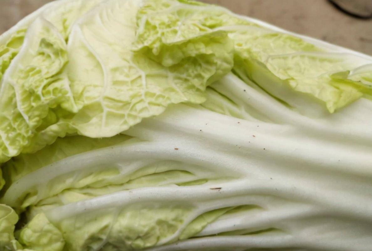 白菜帮上的"小黑点"是什么?我还能吃吗?