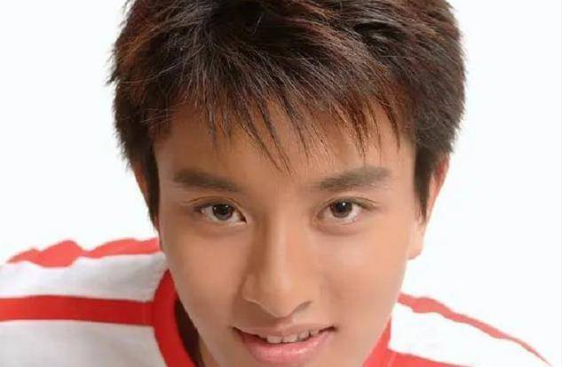 认出了杨四郎苏有朋,却没认出贾乃亮_表演_时候_作品