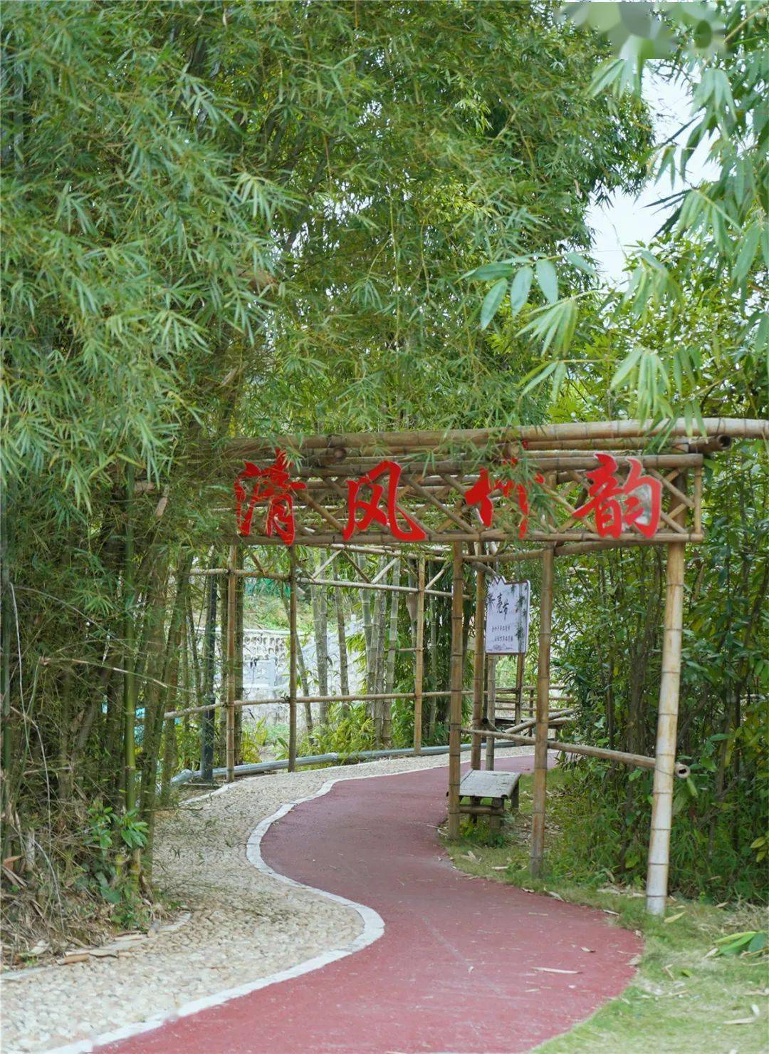 0元打卡罗定这个醉美乡村简直就是人间仙境