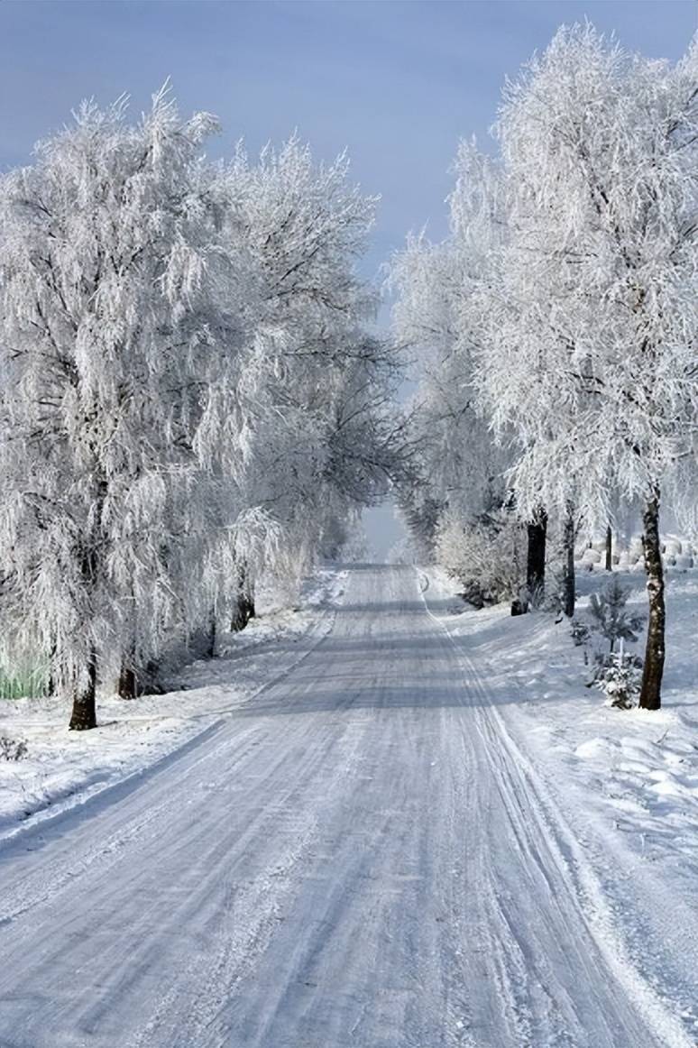 【詩詞鑑賞】冬天有一種美叫遇見雪,在古詩詞裡遇見雪,遇見了浪漫的