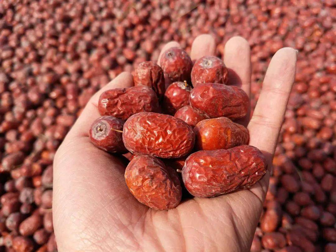 新疆灰枣是红枣的一个品种,但它的外表,口感,晒制工艺和普通的红枣却