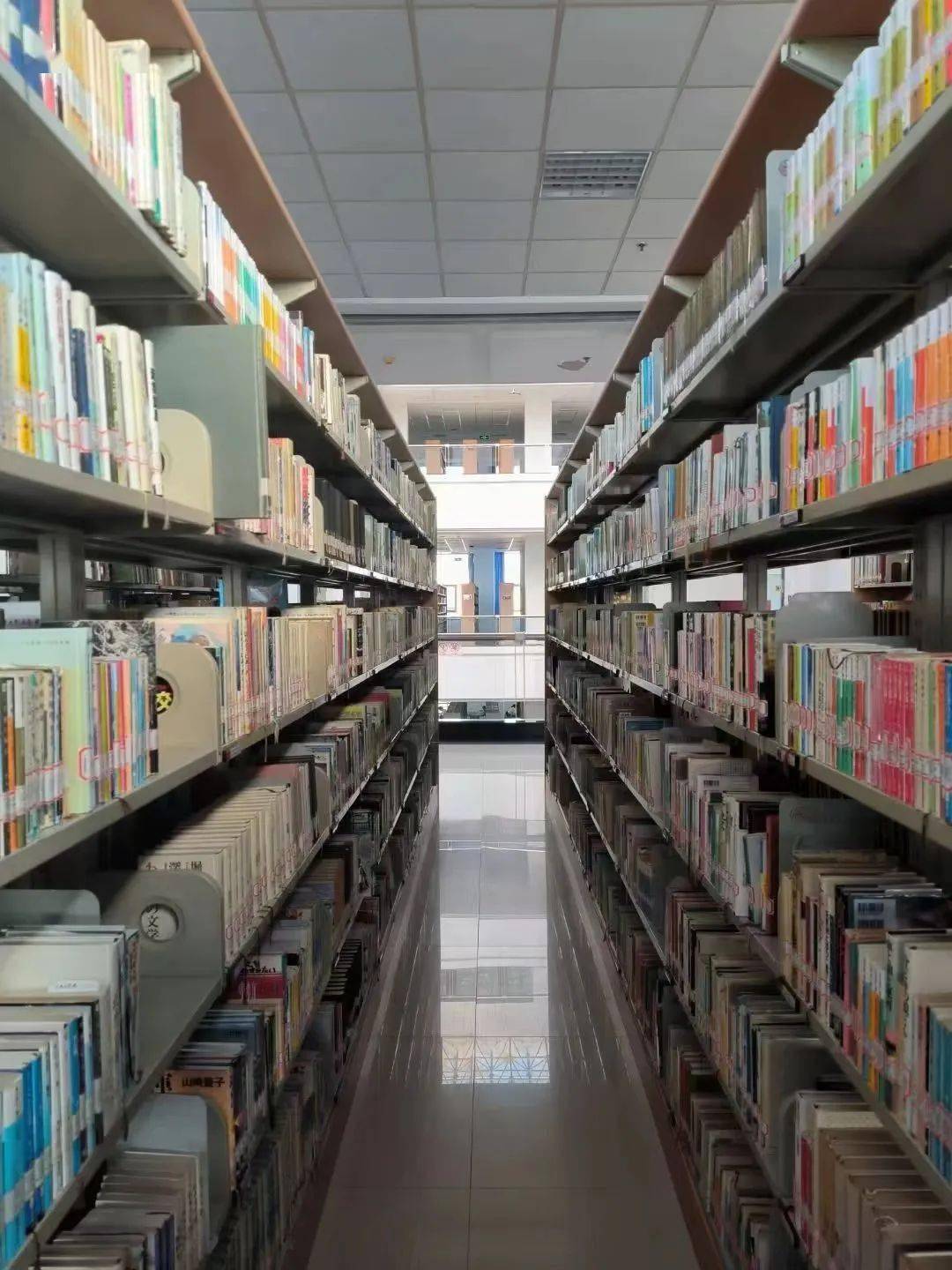 "体悟知识的力量随手拾起一本陪我们走过四季书架陈列的图书book 书籍