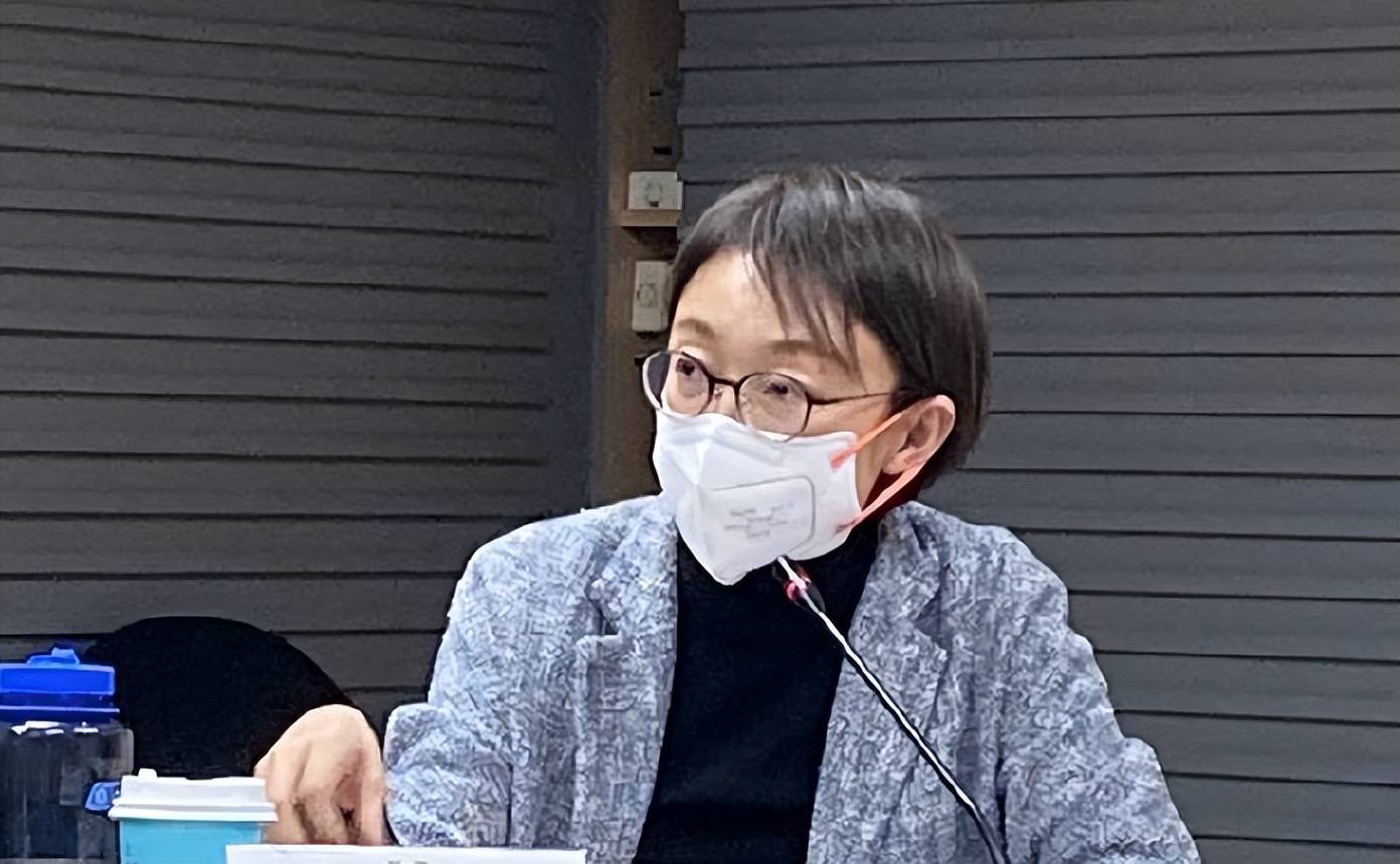 "蓝委"质问民进党,日韩输大陆产品多数注册有效,你们在做什么_吴怡玎