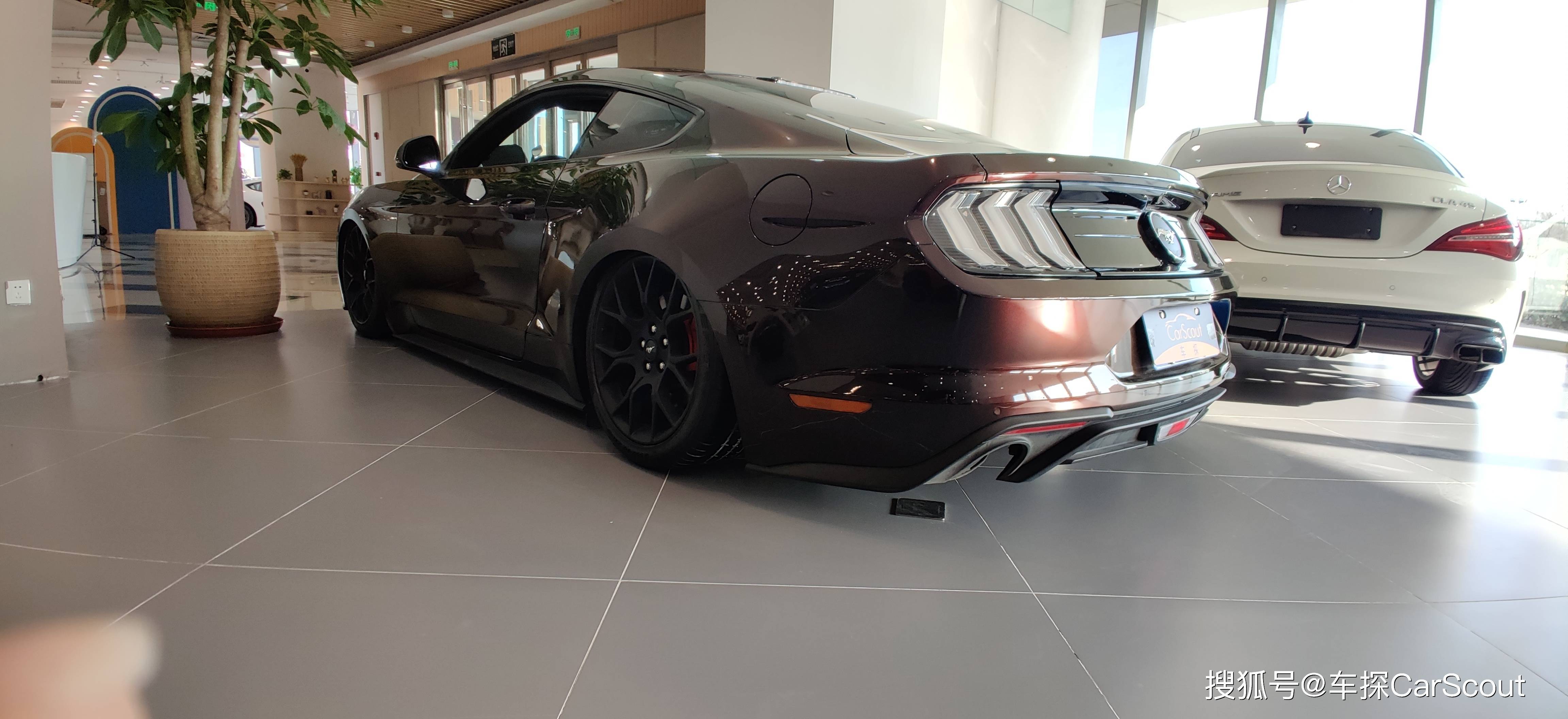 福特野马-肌肉车的始祖与引领者_搜狐汽车_搜狐网