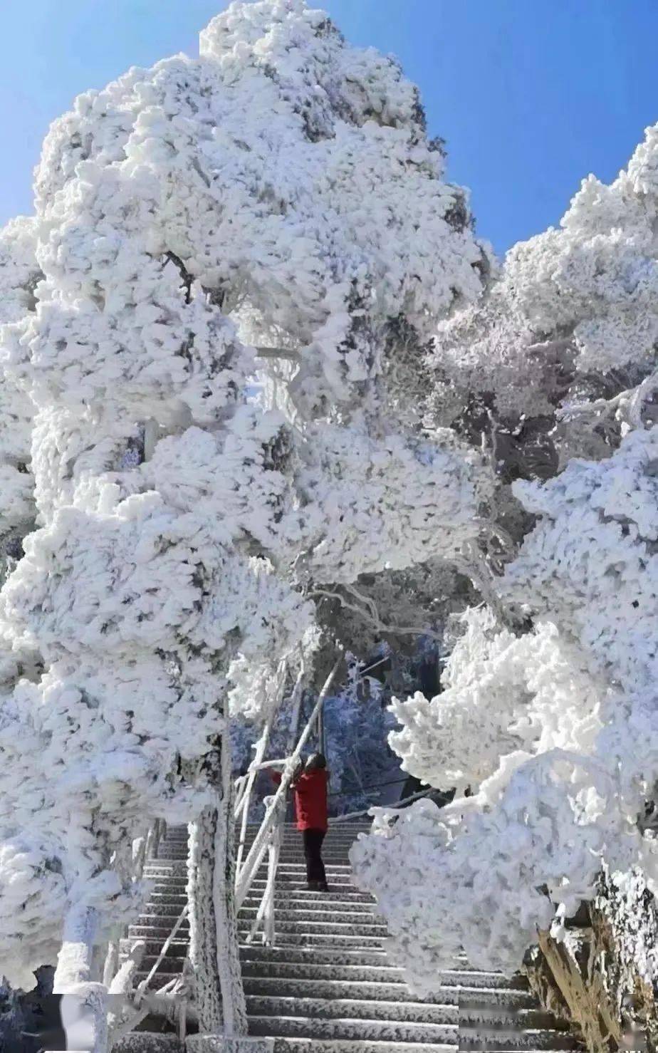 莽山雪景图片