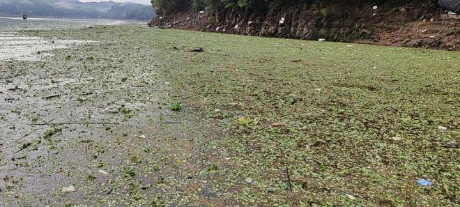 泰宁大金湖：落实“河长造” ，打造文明旅游景区