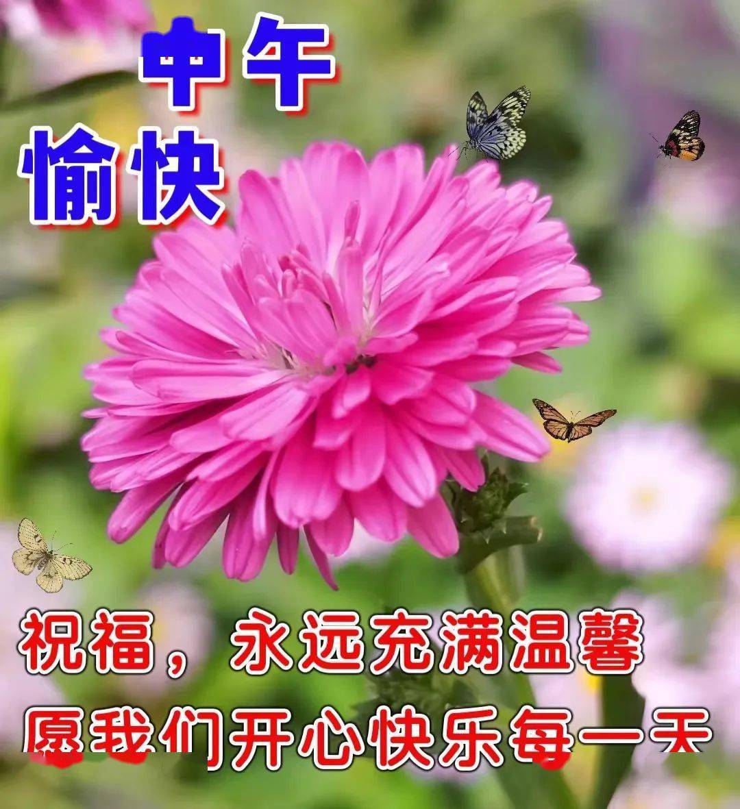 早上好漂亮的早安圖片帶祝福語_問候_緣分_吉祥