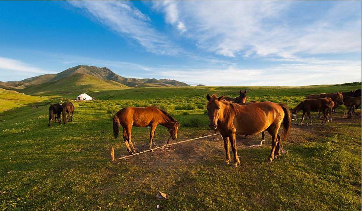 阿克苏水上乐园,库尔图生态园,玛拉苏野猪沟景区,塔原度假村,莫合台