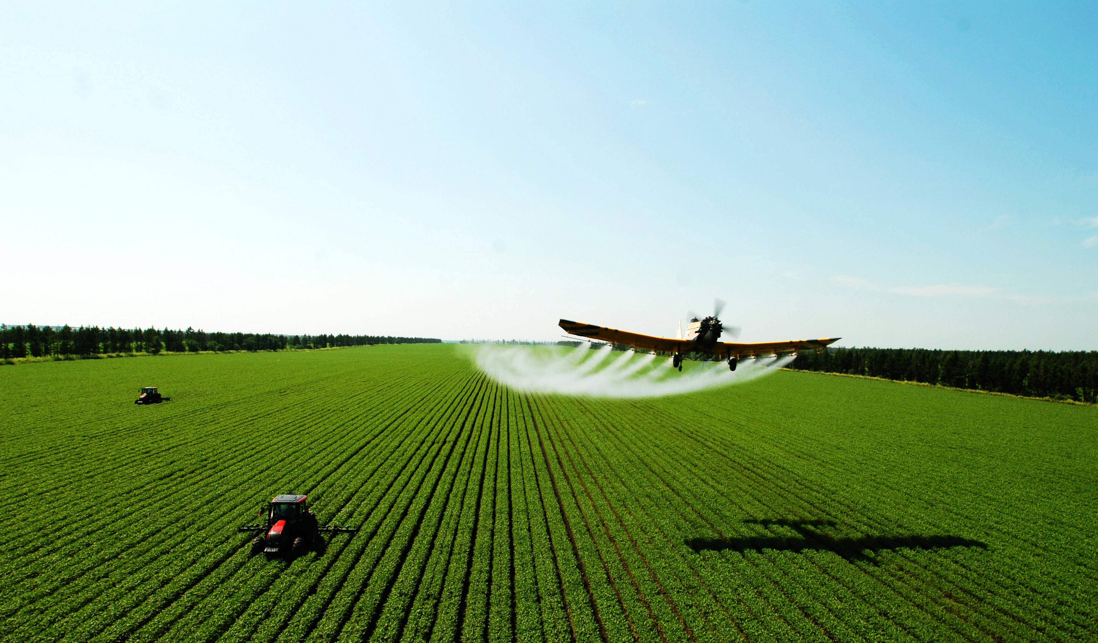 让"中国饭碗"装上更多中国粮_黑龙江_农业_水稻