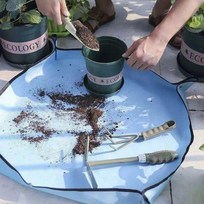 煤渣不要扔了,可是养花好宝贝,省一大笔买土钱!_土壤_处理_蜂窝煤