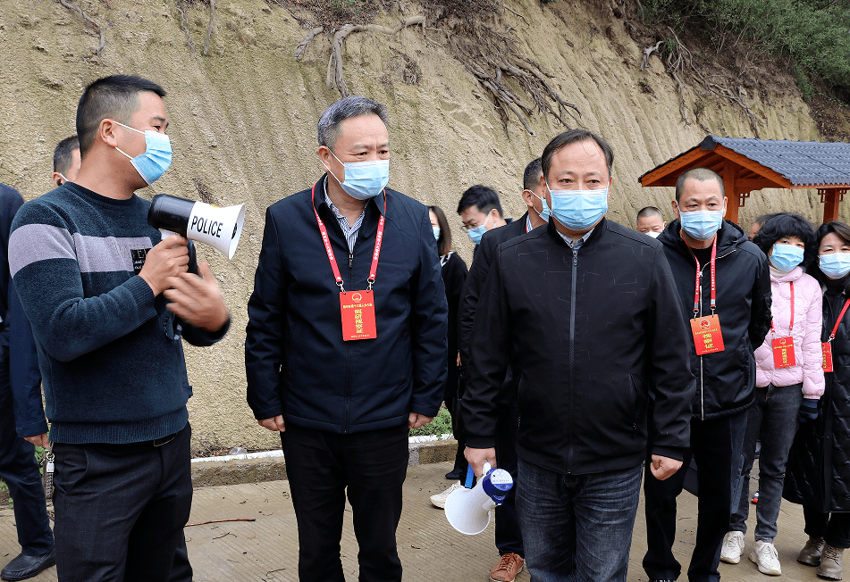 代表们先后视察了鹤上镇新览村,文岭镇前董村,潭头镇文石村,围绕产业