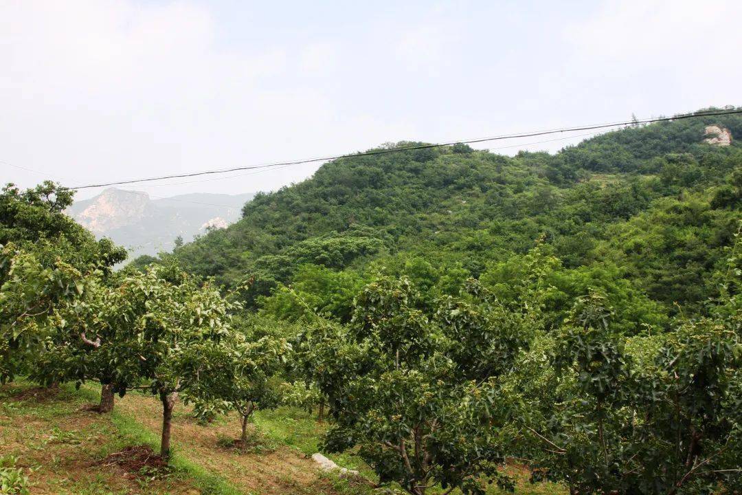 义县大榆树堡镇石匣子村入选第四批全国乡村旅游重点村_景区_建设