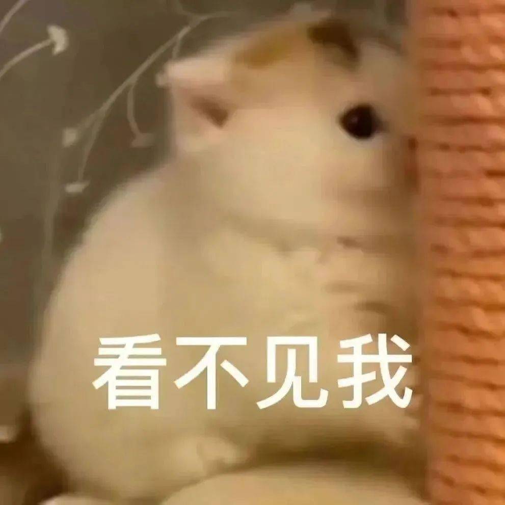 搞笑微信表情包I 宝宝你看我可爱吗_搜狐网, image size:991x991