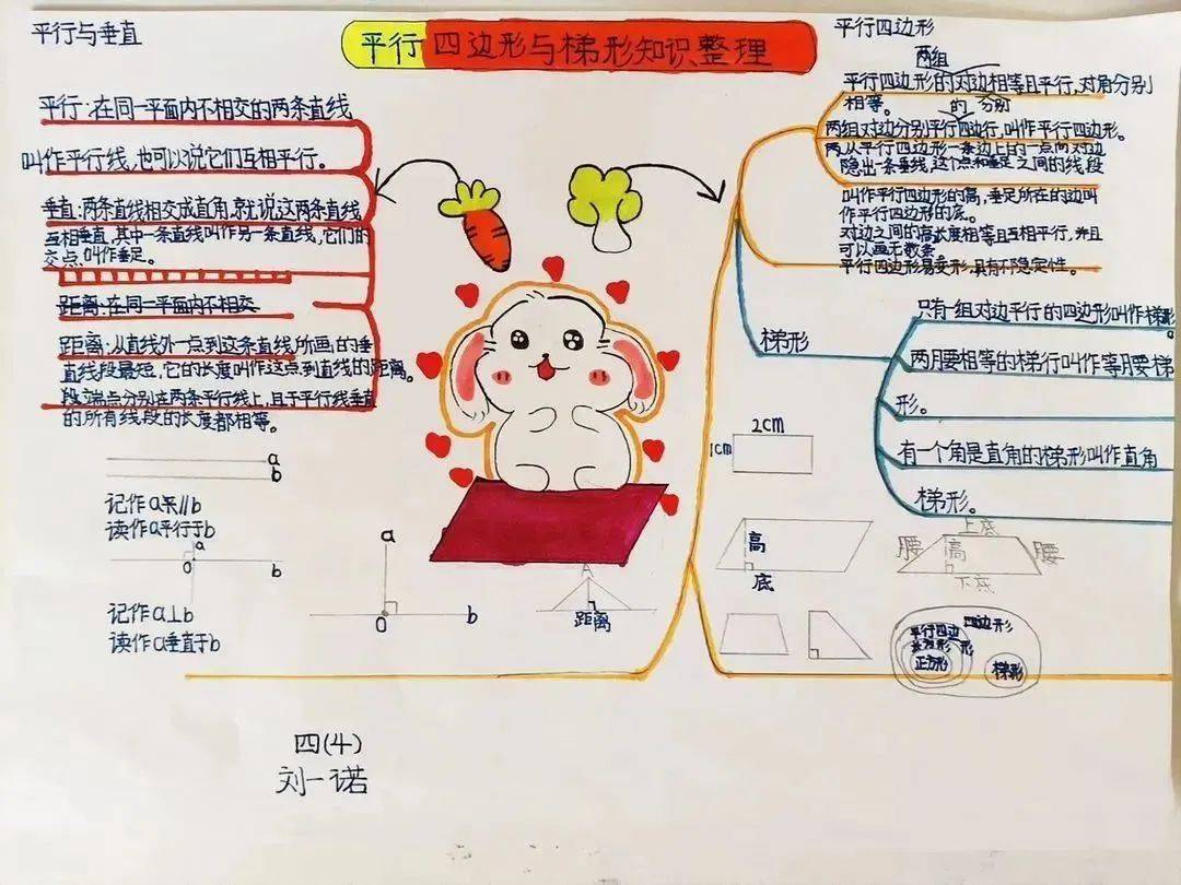 数学平行线手抄报内容图片