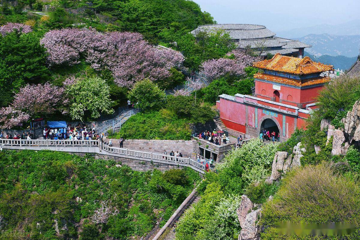 泰山天街宾馆图片