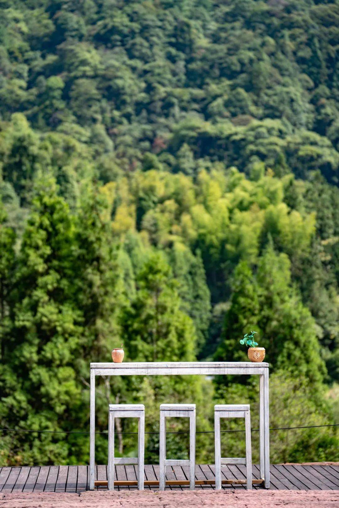 如今就出逃！去山林！