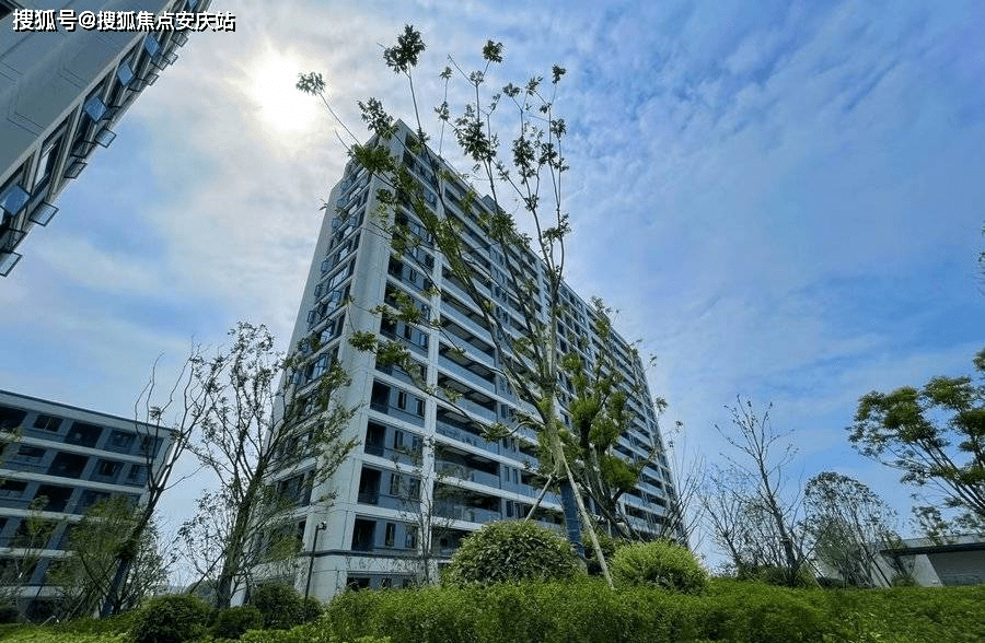 续深耕浙江德清新市的华景川集团,继华景川·运河宸园之后再次落子