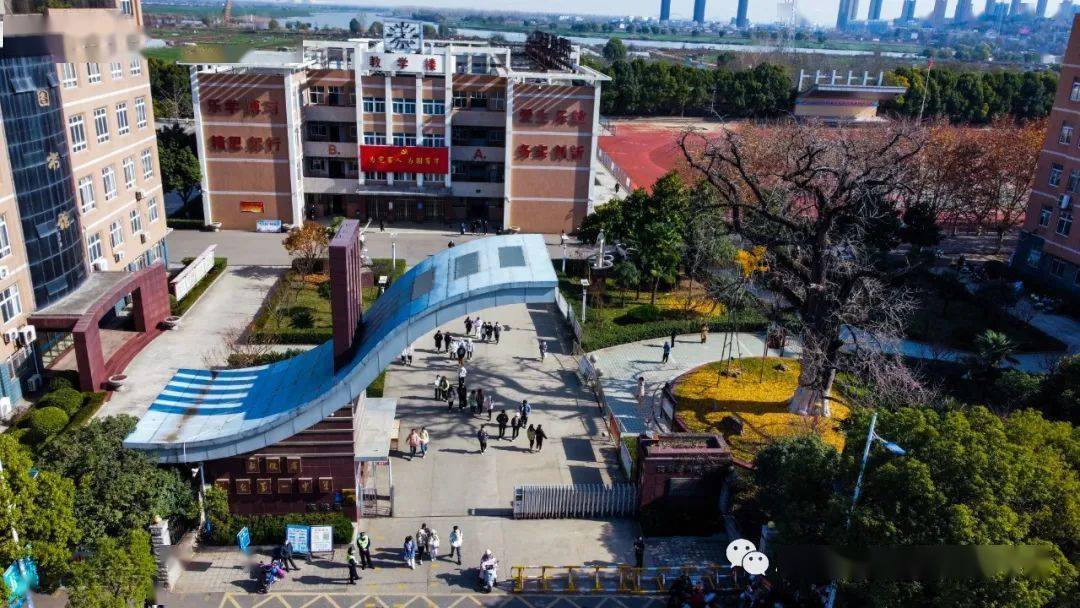 安徽人游安徽 | 凤台一中学子的记忆里,银杏是绕不过的风景_淮南_旅游