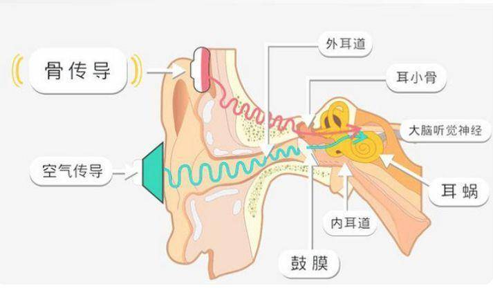 骨传导耳机结构图图片