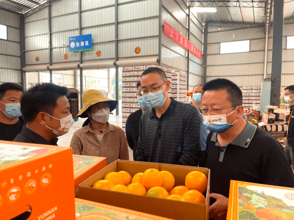 新平：“电商直播”为乡村振兴注入“云动力”