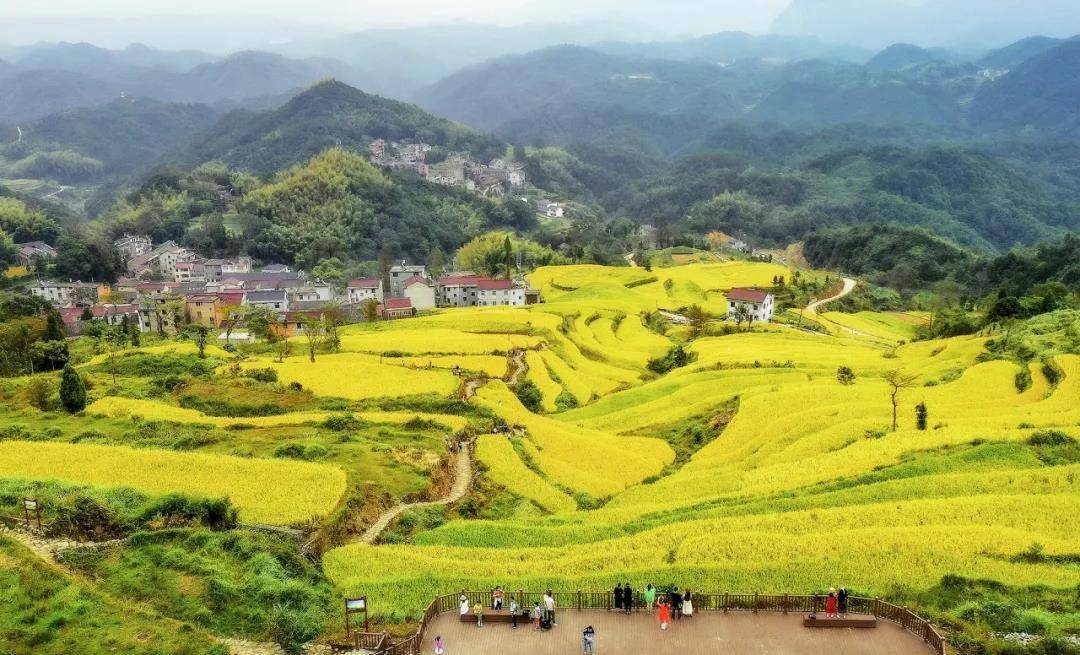 我们要介绍的这个地方是浙江台州市天台县拥有田园风的——泳溪乡北