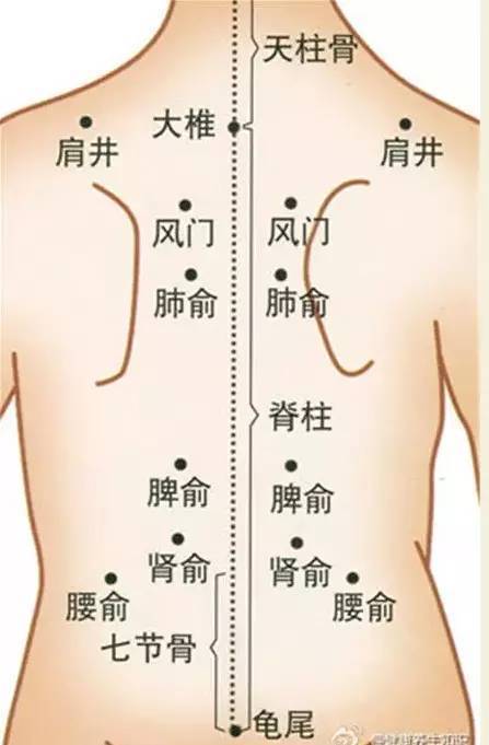 风门肺俞图片